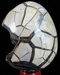 Septarian Dragon Egg Geode - Black Crystals #57393-2